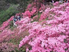-木兰云雾山