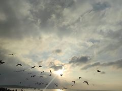 -那香海钻石沙滩浴场