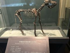 -大庆市博物馆