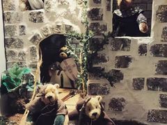 -济州岛泰迪熊博物馆