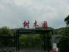 -中山市树木园