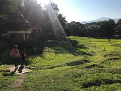 -四季酒店下午茶