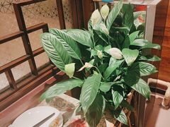 -西贝(六里桥旗舰店)
