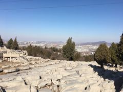 -原山国家森林公园