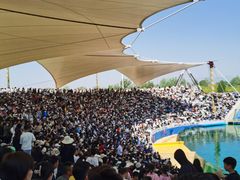 -秦皇岛乐岛海洋王国