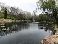 -棒棰岛宾馆景区