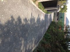 iphone_upload_pic-宁波九龙湖开元度假村