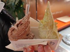 -野人先生现做冰淇淋(北京王府井东方新天地店)