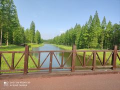 -黄海国家森林公园