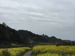 -新安江山水画廊风景区