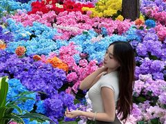 -洛阳白云山景区