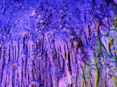 -寻龙山风景旅游区