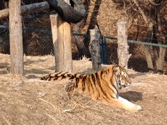 -大连森林动物园