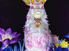-厦门园林博览苑