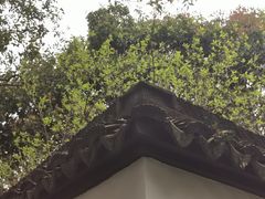 -上海醉白池公园