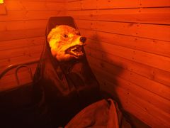 -明日世界密室轰趴·剧本桌游·箭馆团建(国贸店)