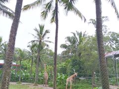 -海南热带野生动植物园