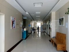 -康旭宠物医院(郑州总院)