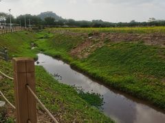 -光明小镇欢乐田园