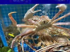 -庆赫隆融合菜馆(群力店)