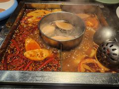 番茄鸳鸯锅-蜀江龙火锅(339店)