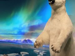 -陕西自然博物馆