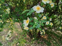 -农园餐厅(北京大学店)