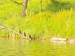 -塞罕坝国家级自然保护区