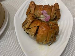 -上海南新雅大酒店