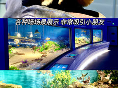 -中国（海南）南海博物馆