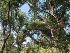 -青龙山国家森林公园