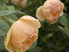 -牛岗山公园