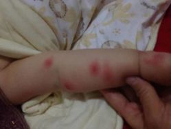 无语-萌宠亲子动物乐园(槐房万达店)