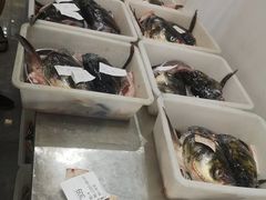 -雪野鱼头大王邢府公老店(雪野湖店)