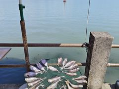 -东钱湖旅游度假区