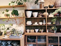 -自由生长植物工作室(深港花卉中心店)