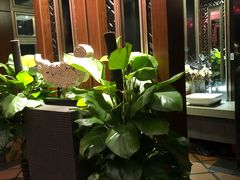 -娘家米汤饭(大营路店)