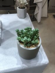 -眉毛先生MrBrow修眉染眉化妆