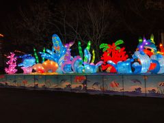 -沈阳奥体冰雪嘉年华