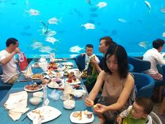 -瑞德姆美人鱼海底演艺主题餐厅(亚龙湾店)