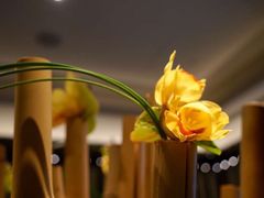 -上海苏宁宝丽嘉酒店·嘉府壹号中餐厅