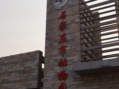 -辛玛王国游乐园