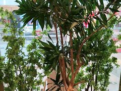 -吴家·非遗淮扬小馆(镇江万达广场店)