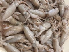 -鲜鲜·鲅鱼圈海鲜(于洪店)