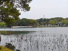 -新洲生态园
