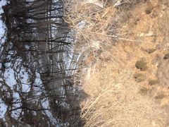 iphone_upload_pic-居庸关长城