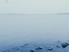 -漕湖湿地公园