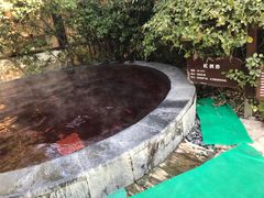 -仁爱团泊湖温泉中心