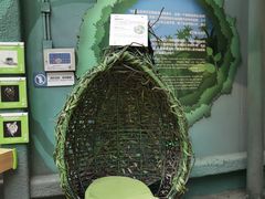 -正佳雨林生态植物园