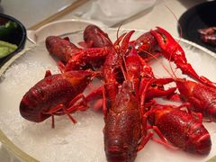 精品冰镇龙虾-红盔甲·小龙虾(天钥桥店)
